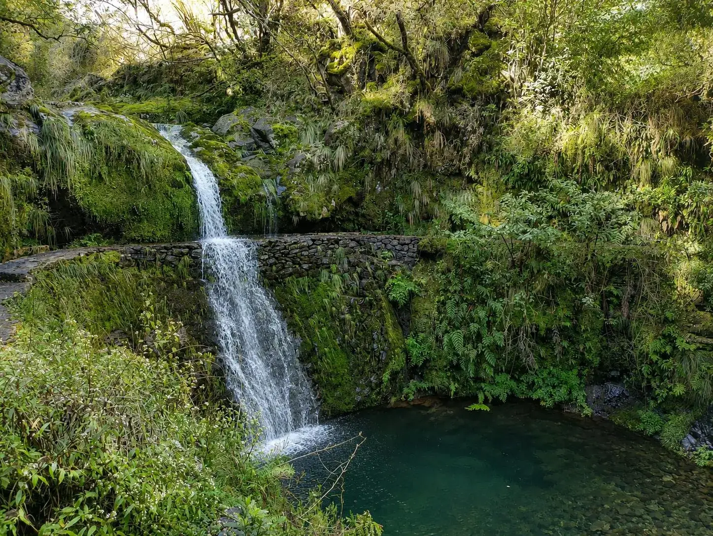 Levadas da Madeira