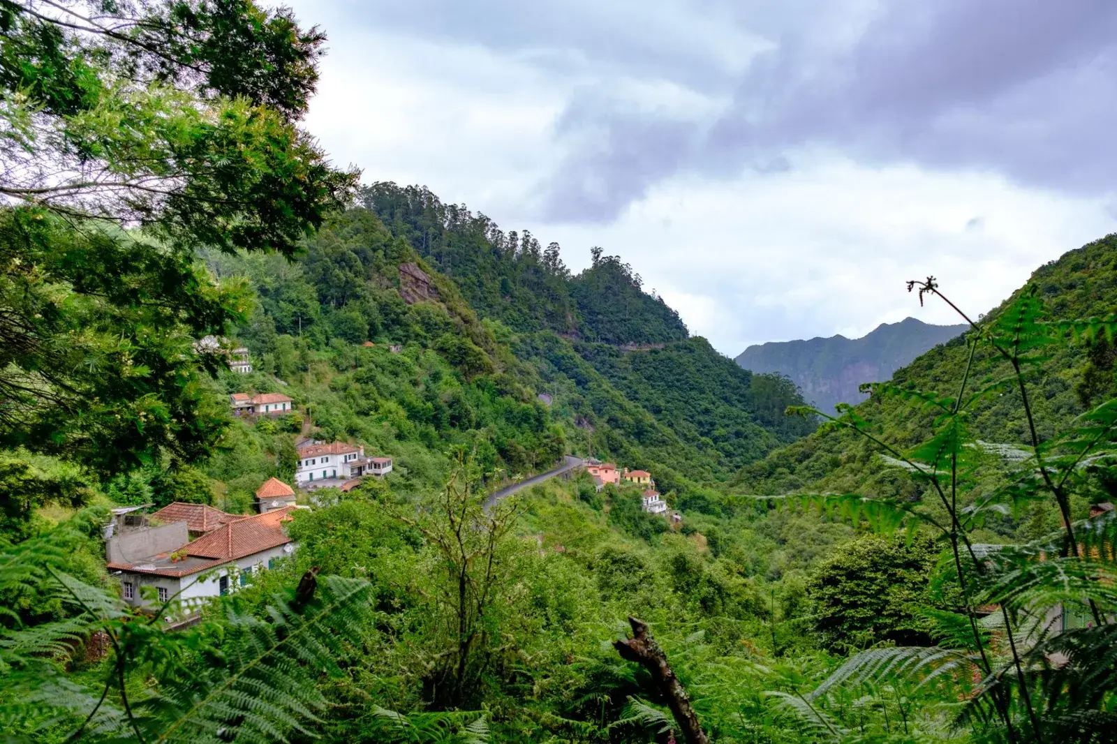 Tour da Ilha Madeira