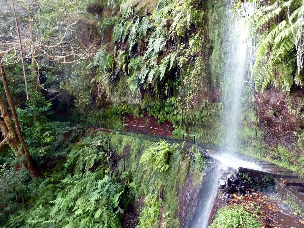 Levadas e Caminhadas
